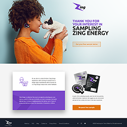 Sample landing page for energy product